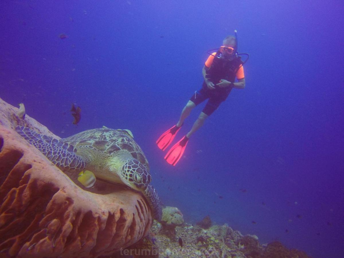 Tanjung  Anema Wellness & Resort Gili Lombok - Diving Center Padi מראה חיצוני תמונה